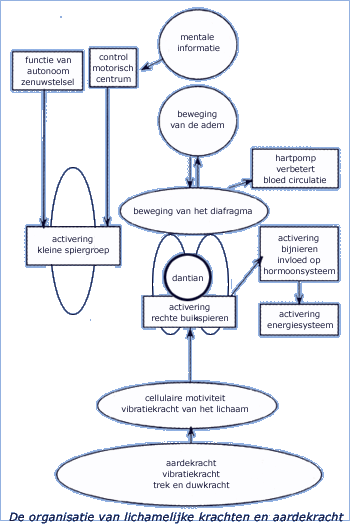 diagram showing the organisation of body forces and earth force
