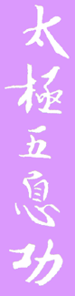 Taijiwuxigong characters